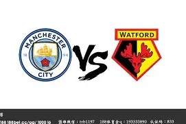 曼联客场不敌沃特福德，阵容遭受批评()