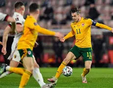 开云-比利时队13威尔士无缘冠军  第2张